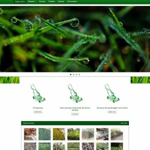 63fcfdf9d7945_Floral Campos Gerais.jpg